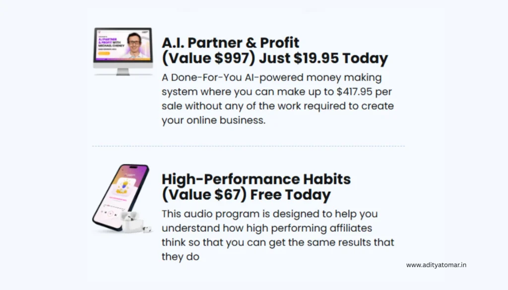 A.I. Partner & Profit